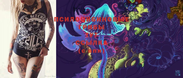 стафф Абаза