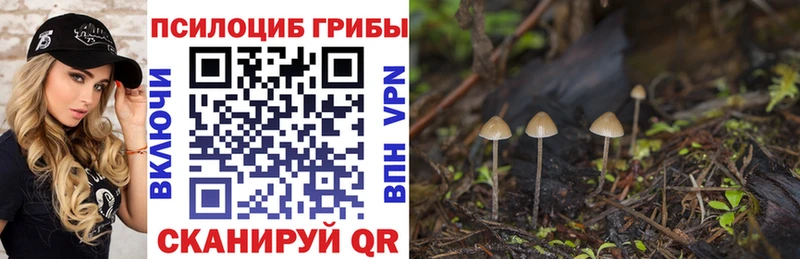 OMG как войти  Тотьма  Галлюциногенные грибы прущие грибы 