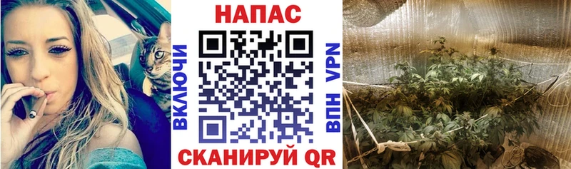 Шишки марихуана THC 21%  Тотьма 